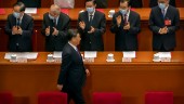 Xi Jinping:s nyttiga idioter  