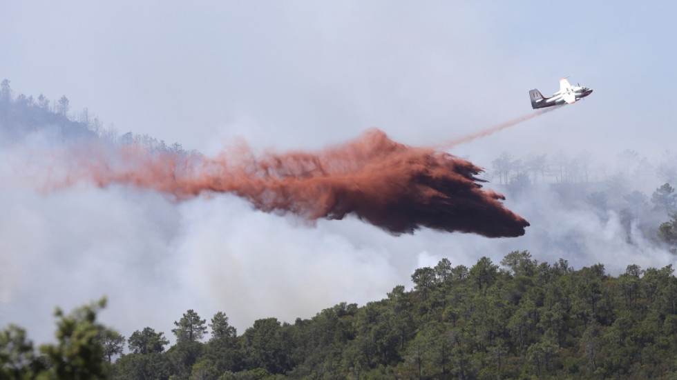 Ett flygplan kämpar mot en skogsbrand längs den franska Rivieran 2017. Arkivbild.