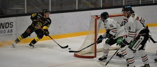 BETYG: De spelarna var bäst i Vimmerby mot HC Dalen