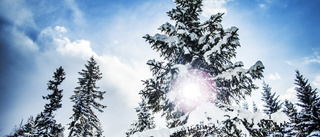 Nu har den riktiga vintern kommit till Sörmland – nationellt isdygn väntar