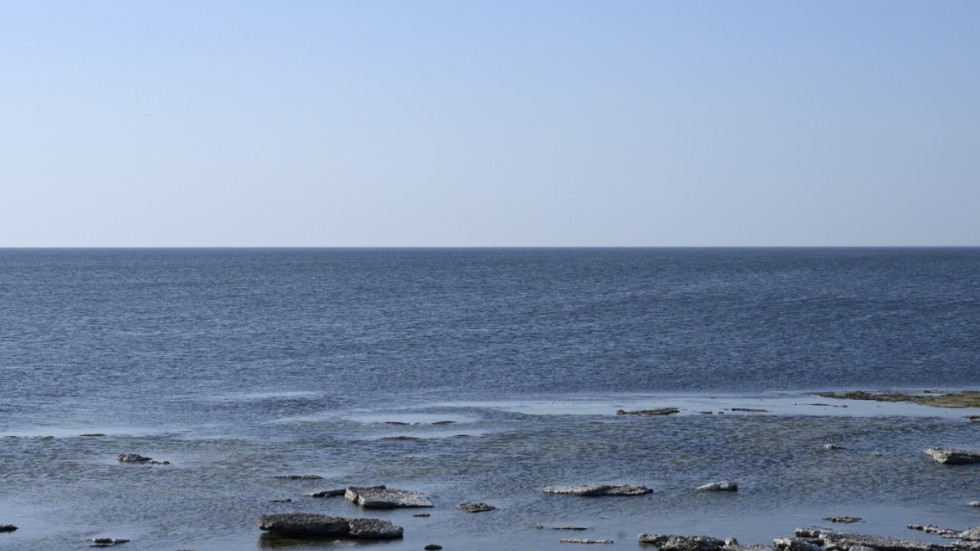 Östersjön sedd från gotländska Fårö. Ett hav där en stor del av fiskebeståndet är utrotningshotat, eller redan försvunnit.