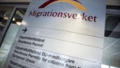 Tidigare ministrar gör migrationsutspel
