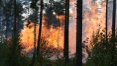 Skogsbränder kan skapa enighet om budgeten