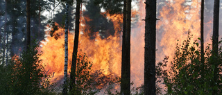 Eldningsförbud i hela länet – brandrisken mycket stor