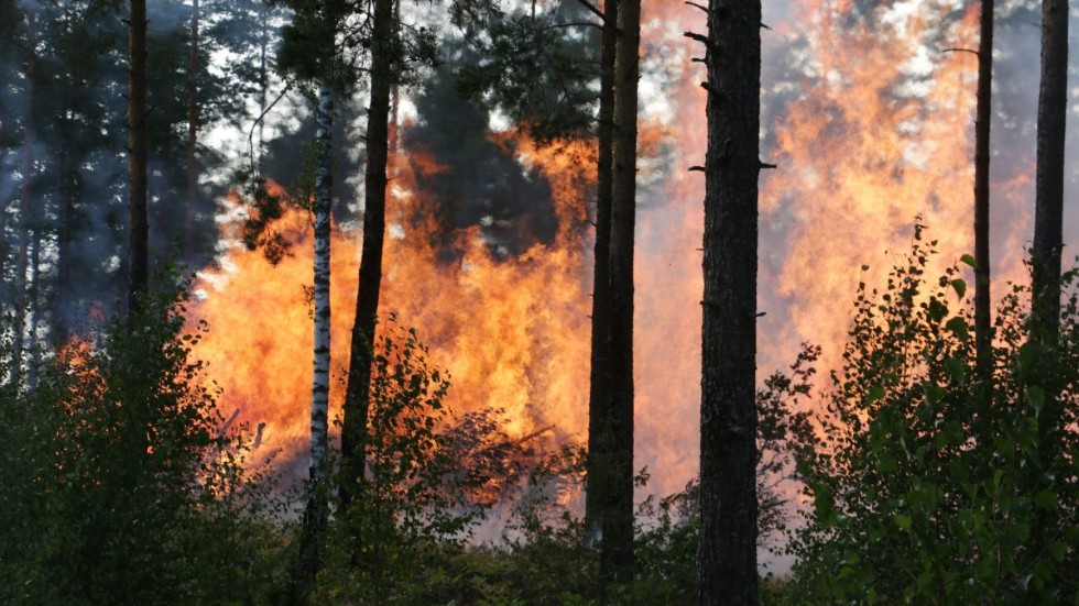 Det krävs mycket vatten för att släcka skogsbränder. I det fallet kan lantbrukare och deras utrustning bli en resurs i släckningaretet, anser Lennart Davidsson (KD)