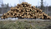 För mycket biobränslen lämnas i skogen i Kalmar län