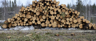 För mycket biobränslen lämnas i skogen i Kalmar län