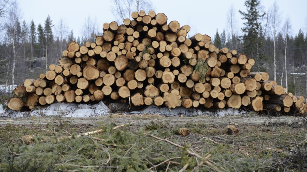  
Avverkningsrester från skogsbruket skulle kunna användas som biobränsle i stället för att lämnas att förmultna i skogen, anser skribenterna.