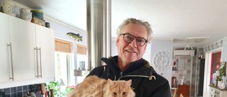Katten Lill-Strimma höll på att dö – av förbjudet medel