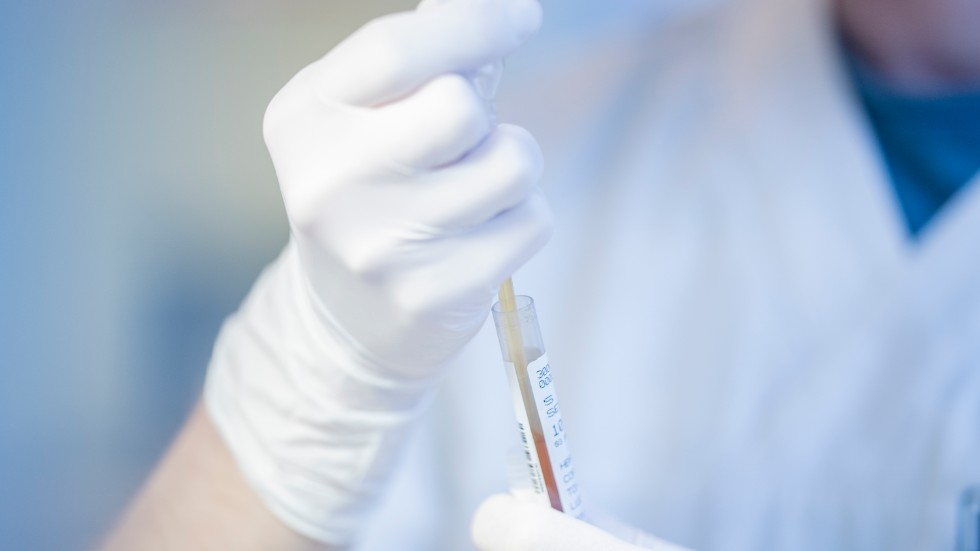 Negativt test krävs för inresa till Sverige