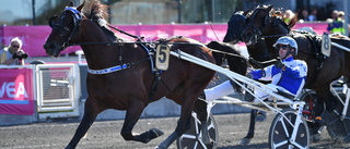 Dags för Elitloppet – allt du behöver veta