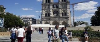 Notre-Dame-torg stängt för blysanering