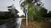 10 000 fotograferades av fartkameror i Sörmland förra året – kvinna körde 114 på 80-väg