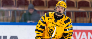 Efter utlåningen – Robertsson prisad i hockeyettan: "Extra fint"
