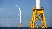 Motvind för dansk vindkraftjätte