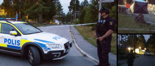 Misstänkt mord i Luleå i natt: "Hört smällar som beskrevs som skott" • En person hittad död