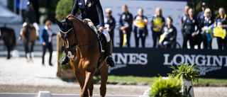 Hästen skadad – Johnsson missar Paralympics