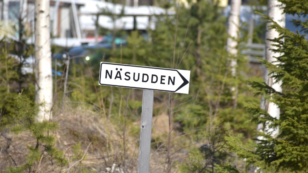 Insändarskribenten skriver om häckande fågelarter i Näsudden, Skelleftehamn.