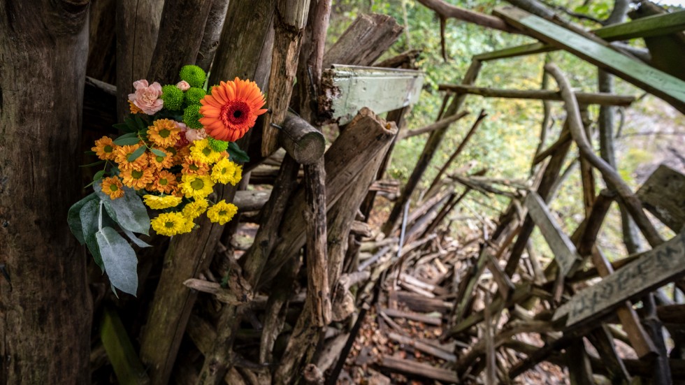 Blommor vid ingången Lars Vilks träkonstverk Nimis i Kullabergs naturreservat.