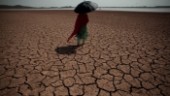 En miljard människor kan bli klimatflyktingar