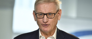 Carl Bildt får toppjobb på WHO