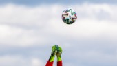Nya fotbollsdirektiven: Riskerar att bli enkelserier