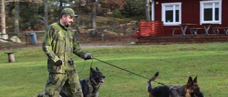 Hunden Ciri är expert på att hitta människor • Tränad för militära insatser: "Vi ska hitta fienden – innan de hittar oss"
