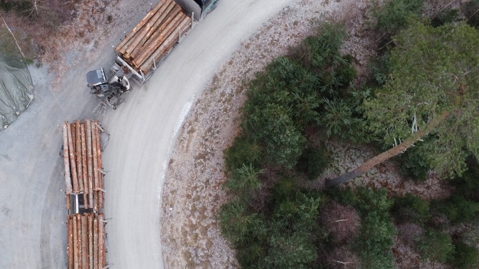 Svensk skogsnäring är en av de verkliga nyckelspelarna när det handlar om att få ned våra utsläpp, skriver Sara Skyttedal och Magnus Oscarsson från KD. 
