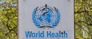 USA kräver ny WHO-utredning om coronaviruset