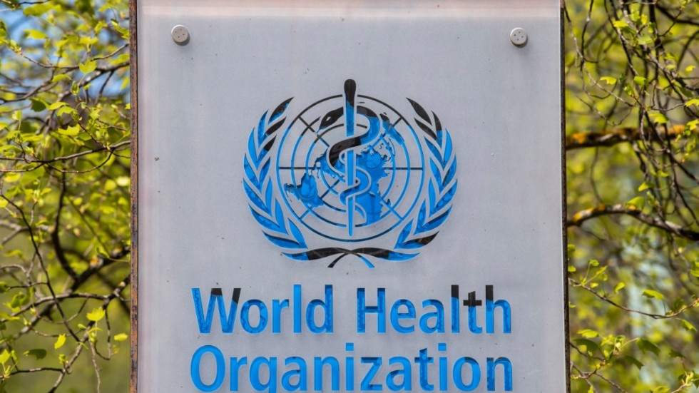 Världshälsoorganisationen WHO bekräftar det första fallet av marburgviruset i Västafrika. Arkivbild