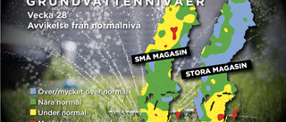 Låga grundvattennivåer i södra Sverige