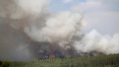 SMHI: stor risk för skogsbrand i hela länet 