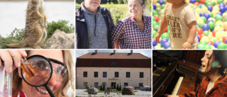 Dags för höstlov på Gotland – vi tipsar om 20 aktiviteter på ön