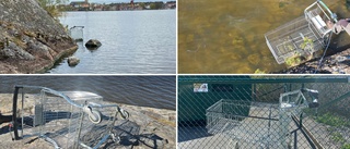 Kundvagn fiskades upp vid badplats – Strängnäsbon Orsolya Lippai: "Tillhör inte naturen"