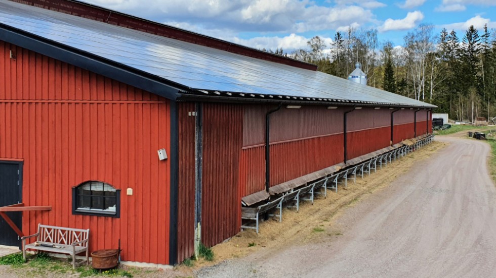 Både privatpersoner och företag äger andelar i solcellsanläggningen, som installerades våren 2017.