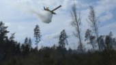 Flygplan vattenbombade skogsbrand