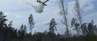 Flygplan vattenbombade skogsbrand