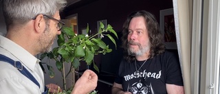 ”Den var det drag i!” • Chili-Lasse gästar Trädgårdsfix med Henrik Radhe och lär oss odla hett