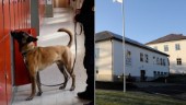 Polis gjorde narkotikasök på Gripsholmsskolan: "Handlar om att upptäcka bråk"