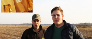 Linus och Jakob odlar gotländska popcorn • ”Roligt att driva företag”