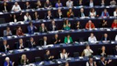 EU-parlamentet vill ha större makt