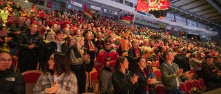 LIVE: Just nu – hockeyfeber i Norrbotten • Piteåbor bilar till Karlstad: "Jagade biljetter i sinne" • Se nytt klipp med papegojan Harry
