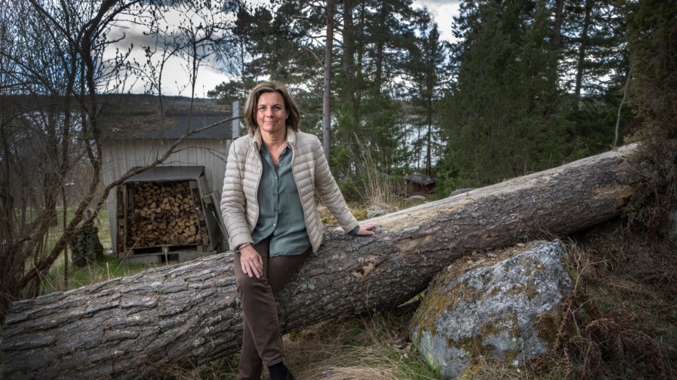 Isabella Lövin saknar inte politiken utan ägnar sig nu åt skrivande och rollen som styrelseordförande för Stockholm Environment Institute.