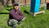 Gregers uppdrag: Sköta om tusentals livsviktiga bin i Nyköping ✔"Viktigt att värna om de vilda bina"