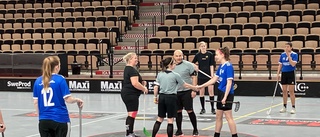 KLART: Gotland Floorball League startar ren damserie