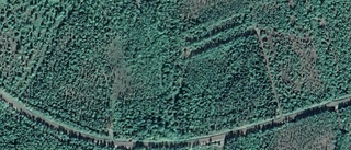 610 000 kronor för skog i Korpilombolo
