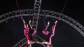 Cirkus Cirkör drivs av kvinnokraft