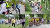 Potthål höll på att stoppa Trosatrampen