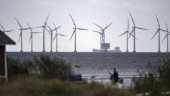 Branschen om vindparkerna: "En milstolpe"