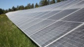 Ansökningar om solcellsparker har ökat lavinartat i Östergötland